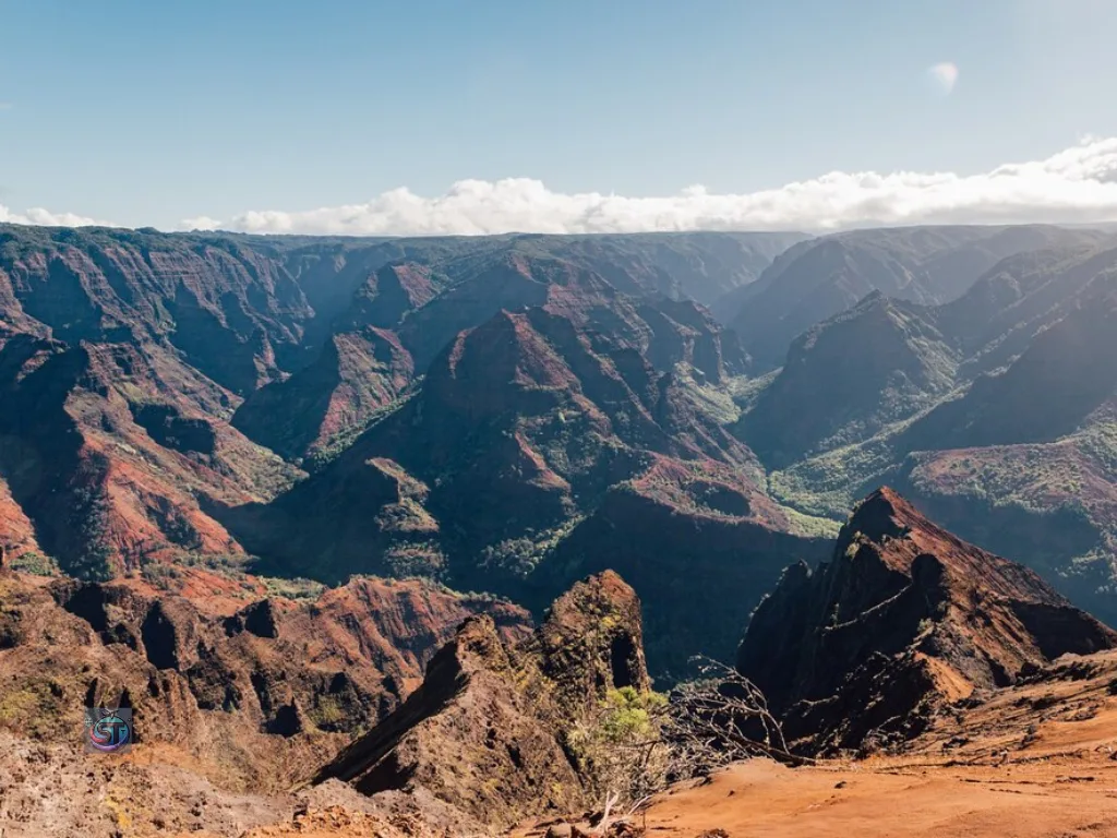 Napali Coast and Waimea Canyon solotravely