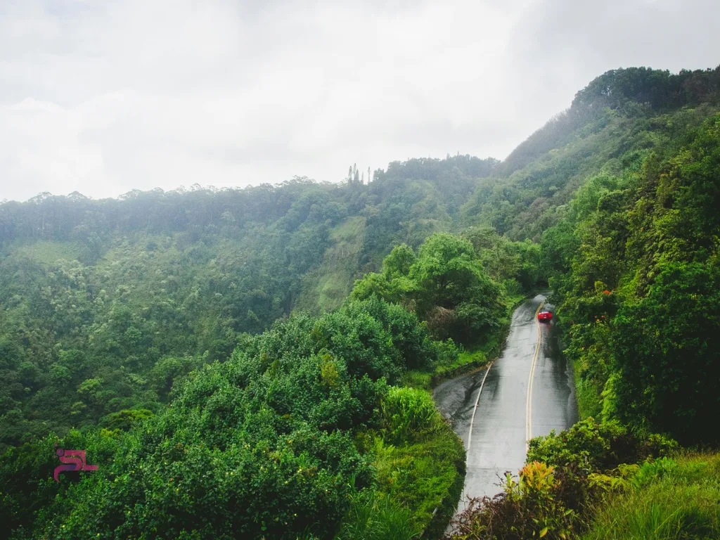 Road to Hana solotravely