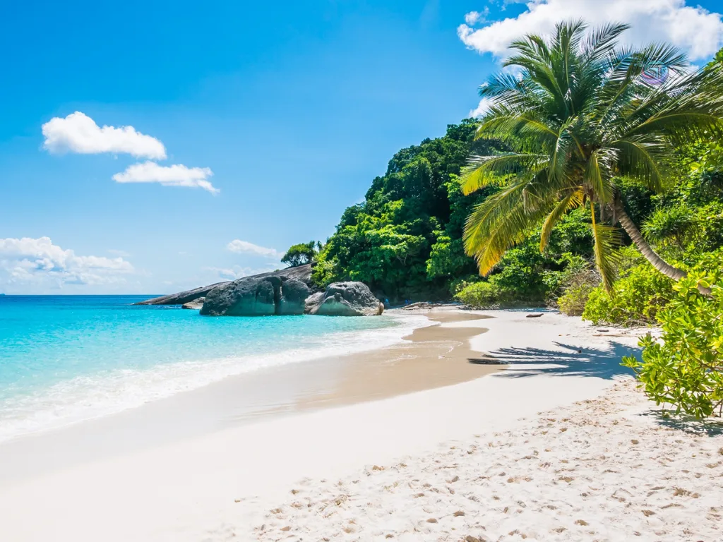 Scenic Beaches solotravely