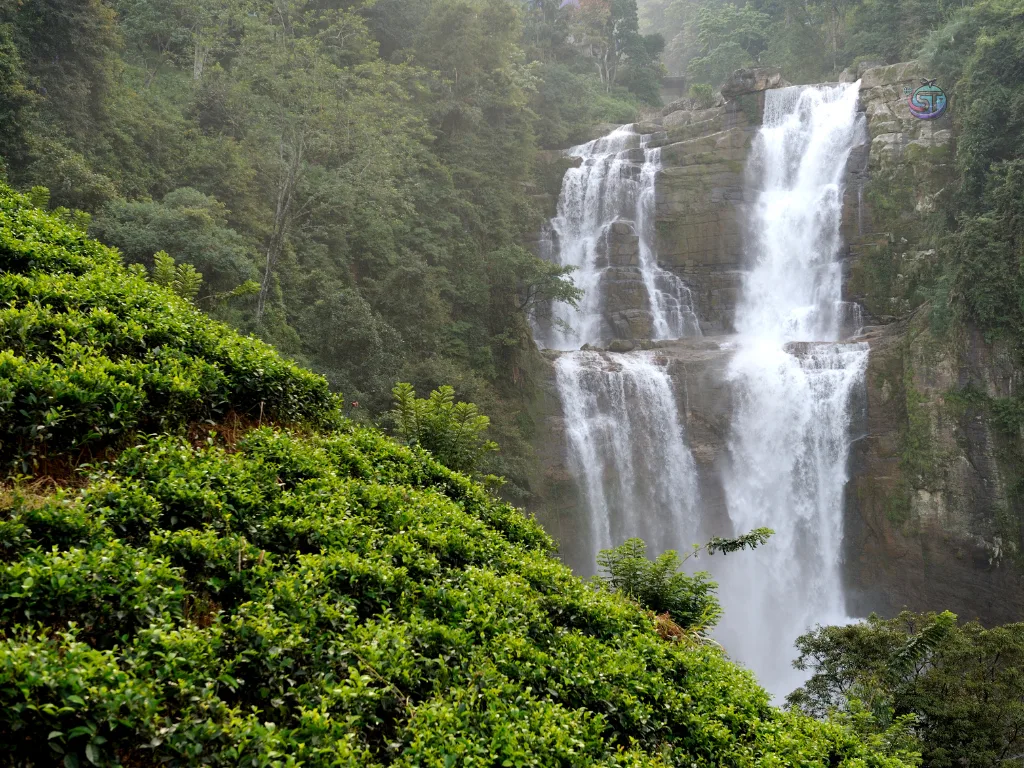 Twin falls solotravely