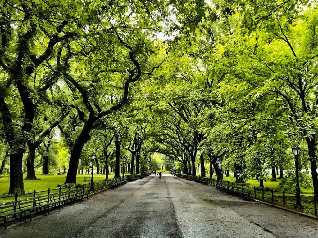 The Mall and Literary Walk