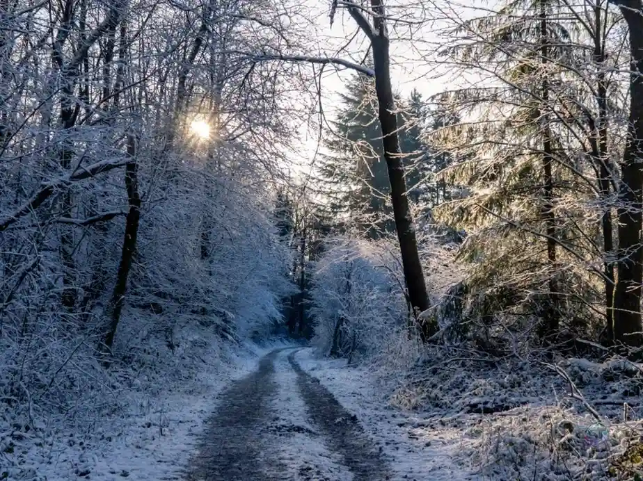 Winter (November to March) Quiet and inexpensive solotravely