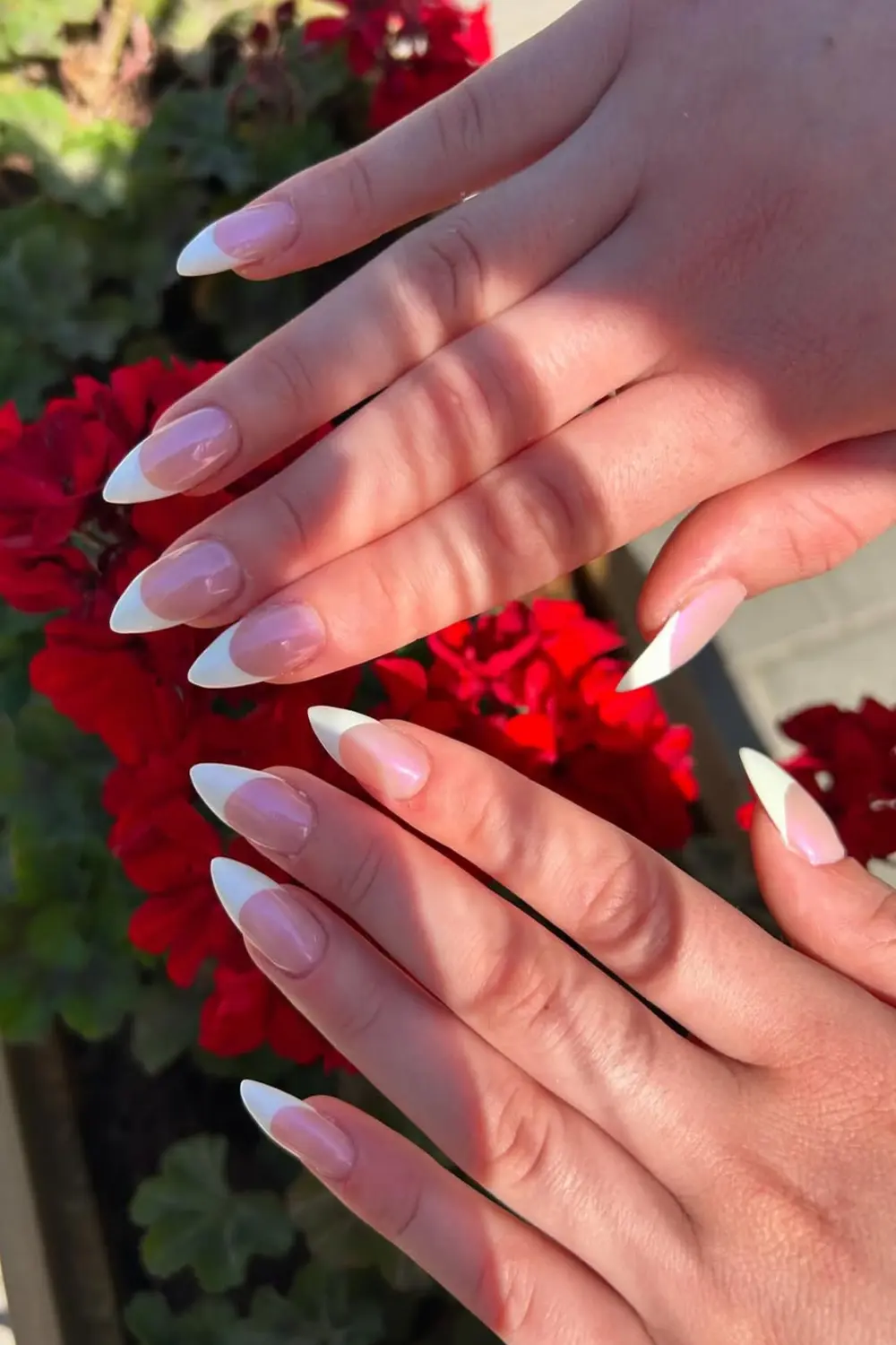 17 White Nail Designs That Look Simple Until You Try Them On 4 White French Tips (Modern Twist) SOLOTRAVELY