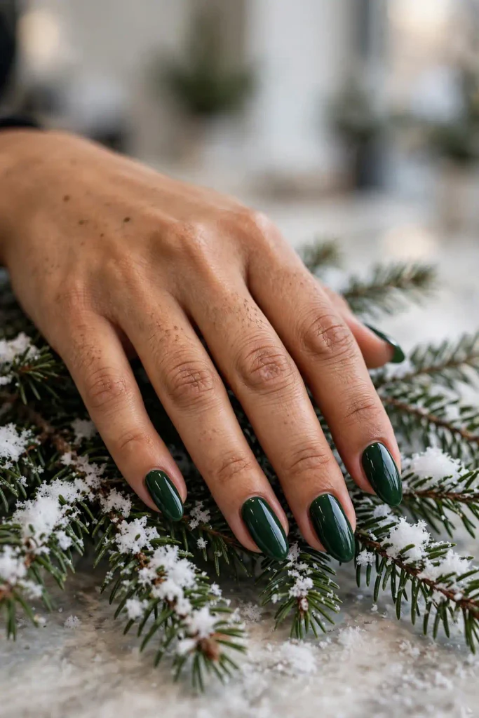 w06 evergreen