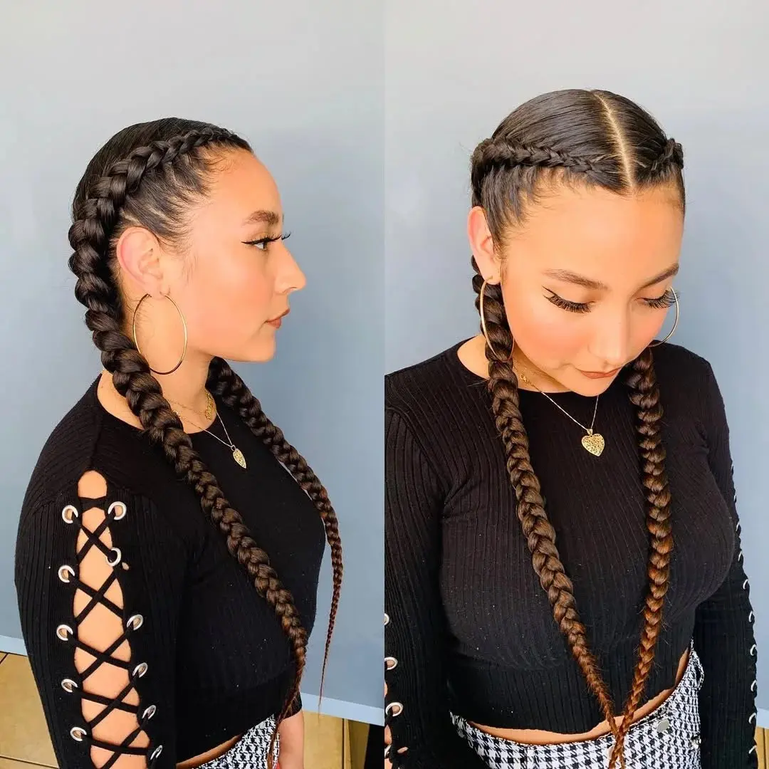 20 Quick Hairstyles for Women 2026: Your Ultimate Guide to Effortless Style 11 The Double Dutch Braids