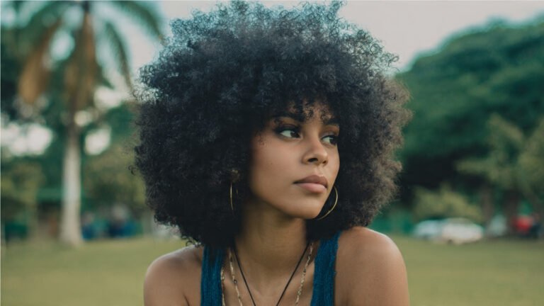 Afro Hairstyle Ideas