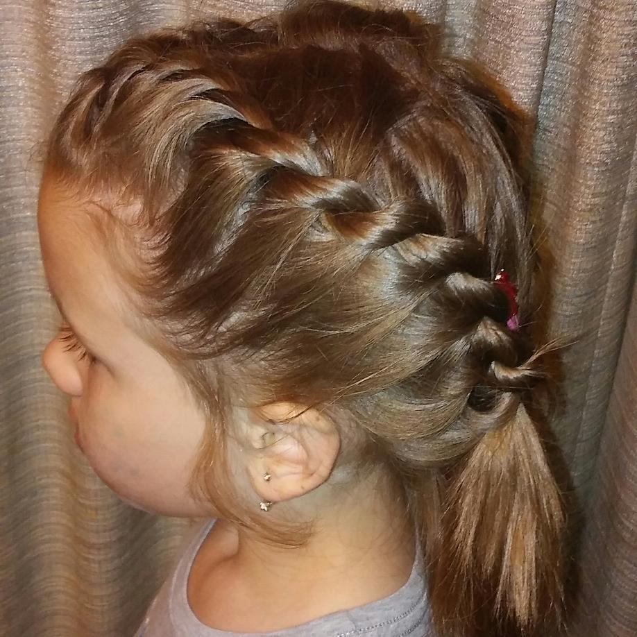 13 Cute Braided Hairstyles Ideas That’ll Make You the Braiding Queen of 2026 12 Twisted Rope Braid Pigtails
