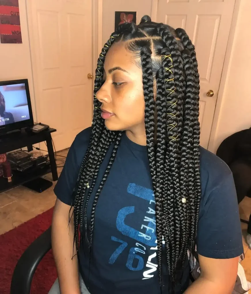 17 African Hairstyles That'll Make You Want to Book a Salon Appointment ASAP 1 Box Braids 1
