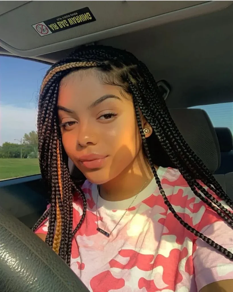 17 Braiding Hairstyles for Black Women That Are Giving Everything Right Now 4 Jumbo Braids