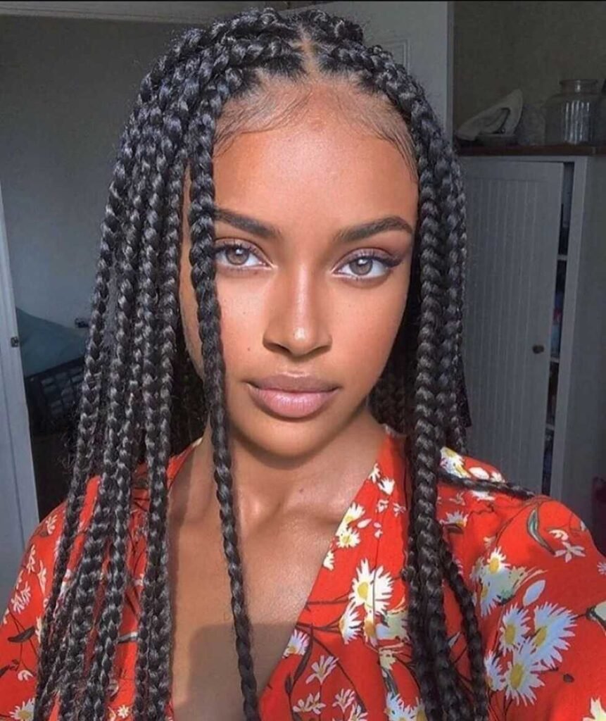 17 Braiding Hairstyles for Black Women That Are Giving Everything Right Now 3 Knotless Box Braids