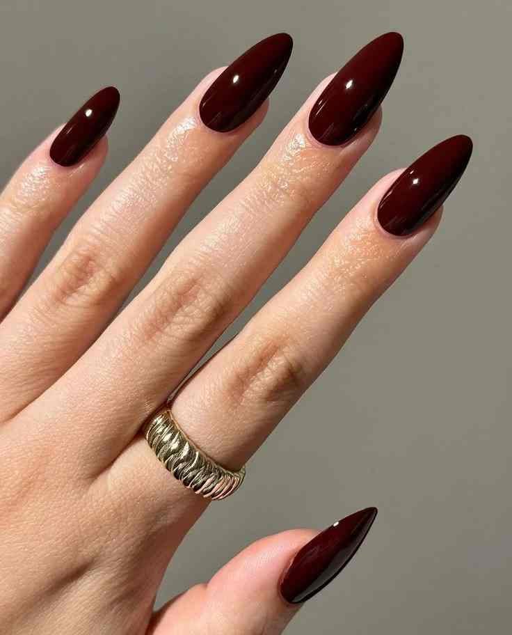 15 Fall Nail Ideas That Feel Cozy, Chic, and Perfect for Autumn Days 4 Burgundy Fall Nails 1