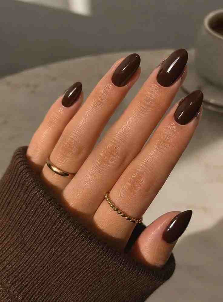 15 Fall Nail Ideas That Feel Cozy, Chic, and Perfect for Autumn Days 2 Chocolate Brown Fall Nails