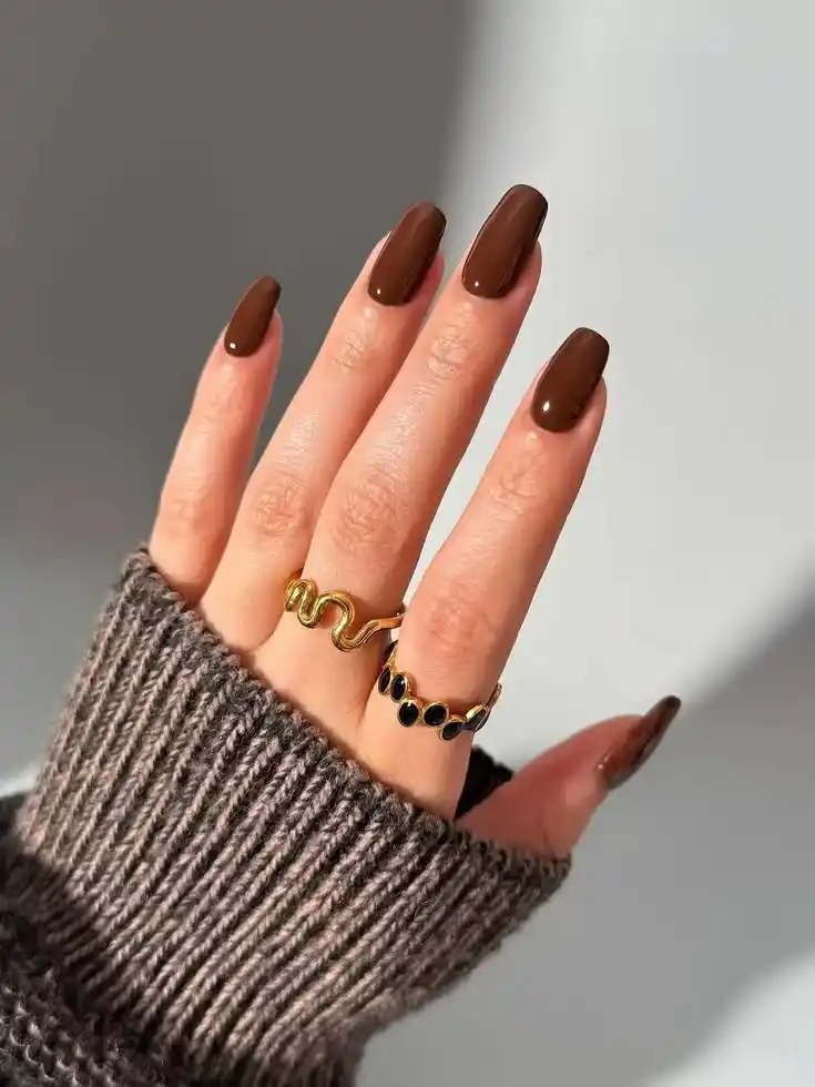 16 Cute Fall Nails That Make Your Cozy Season Look 10x Better 2 Chocolate Brown Glossy Nails
