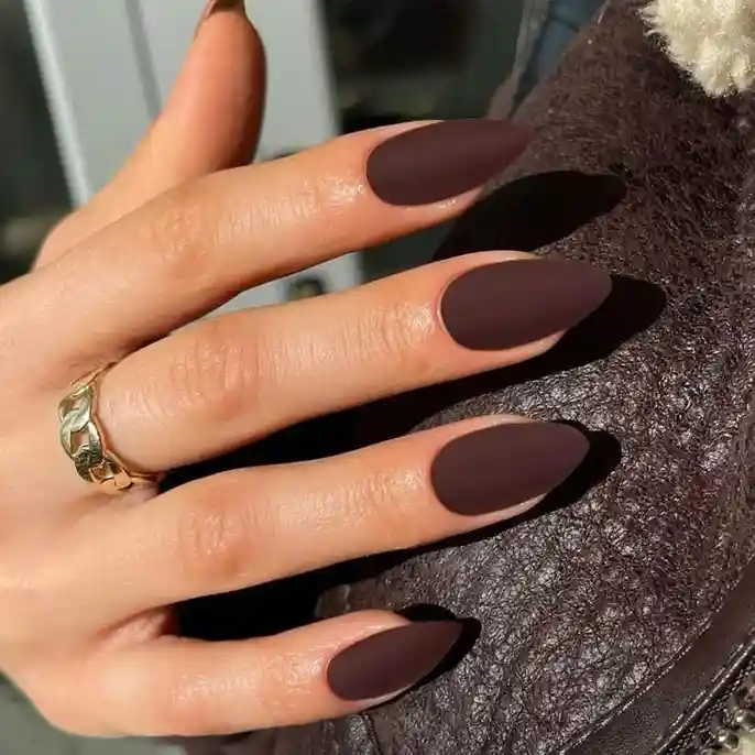 16 Simple Fall Nails That Make Your Autumn Look Instantly Better 6 Matte Fall Nails