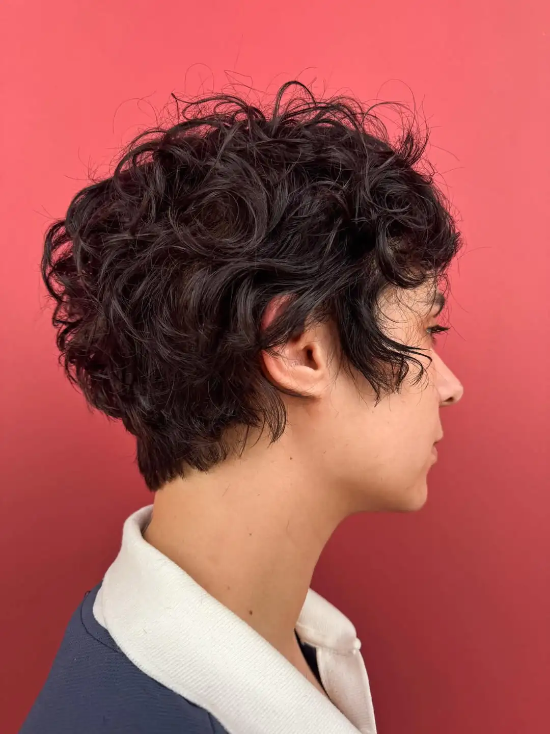 15 Curly Hairstyles Wigs That Will Instantly Upgrade Your Look (No Salon Required) 12 Short Pixie Curly Wig